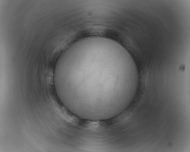 X0000113230083200909241533