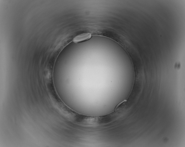 X0000113230084200909241533