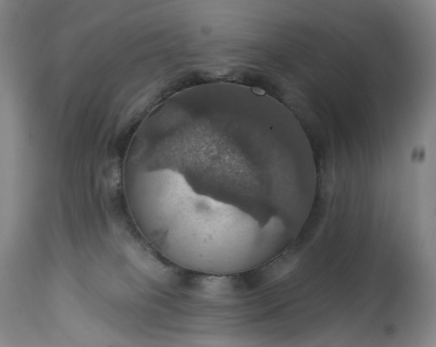 X0000113230085200909241533