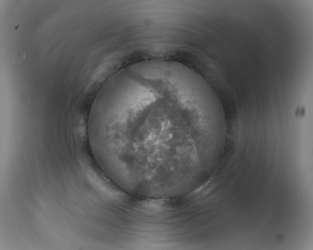 X0000113230086200909241533