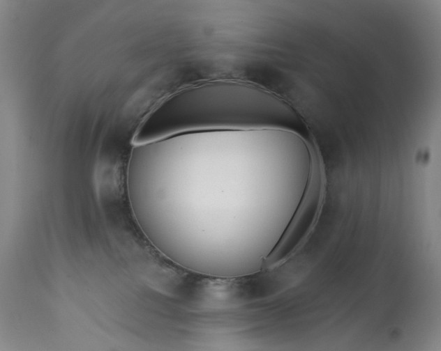 X0000113230088200909241533