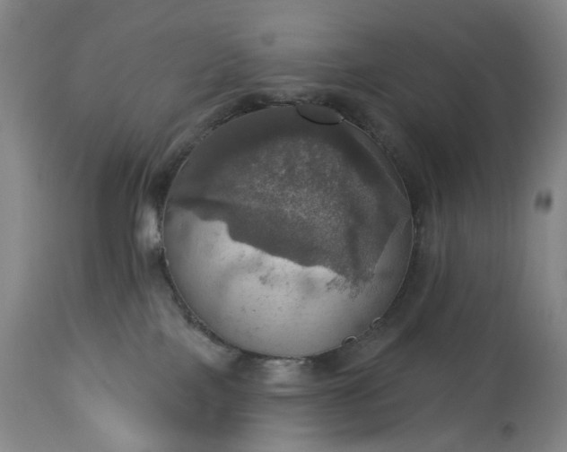 X0000113230089200909241533