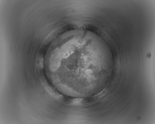 X0000113230090200909241533