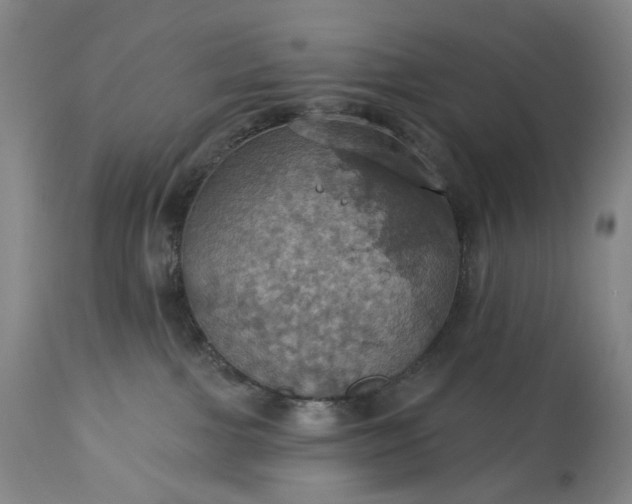 X0000113230091200909241533