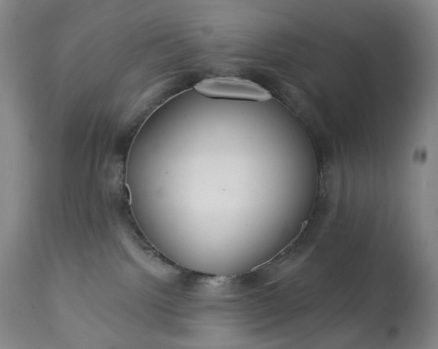 X0000113230092200909241533