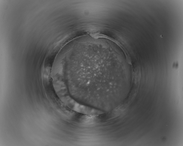 X0000113230093200909241533