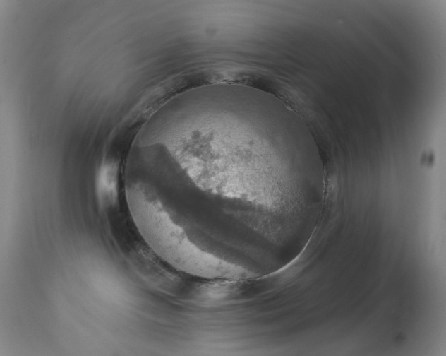 X0000113230094200909241533