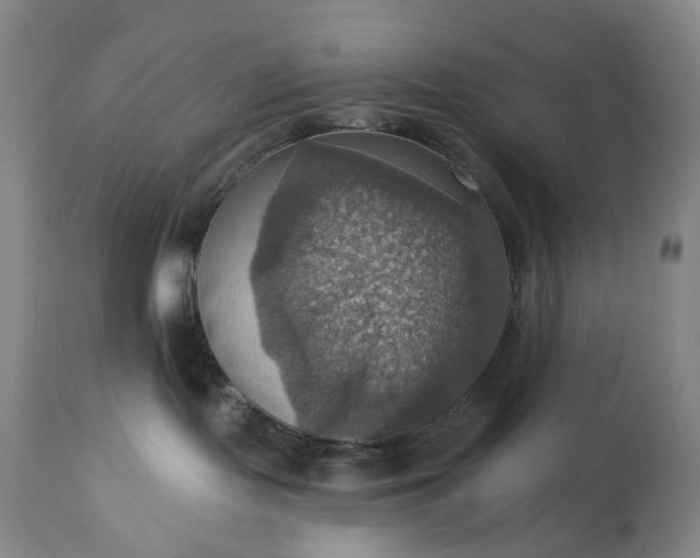 X0000113230095200909241533