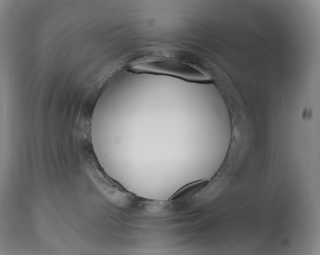 X0000113230096200909241533