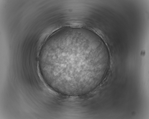 X0000113230097200909241532