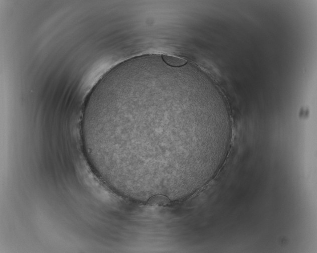 X0000113230098200909241532