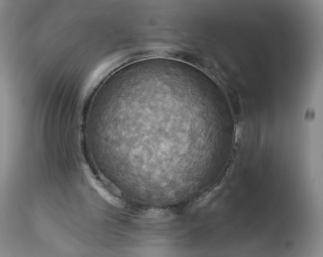 X0000113230101200909241532