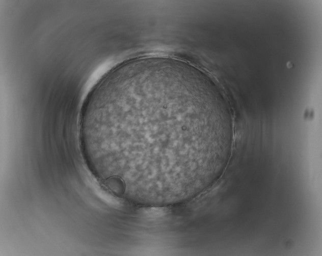 X0000113230102200909241532