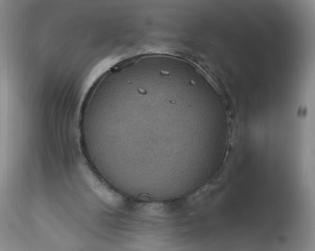 X0000113230104200909241532