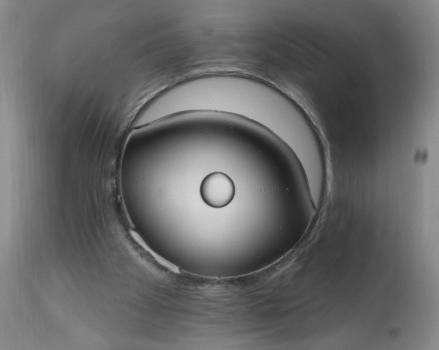 X0000113230105200909241532