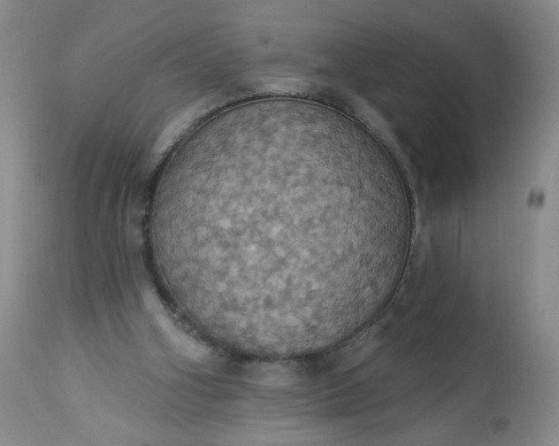 X0000113230106200909241532