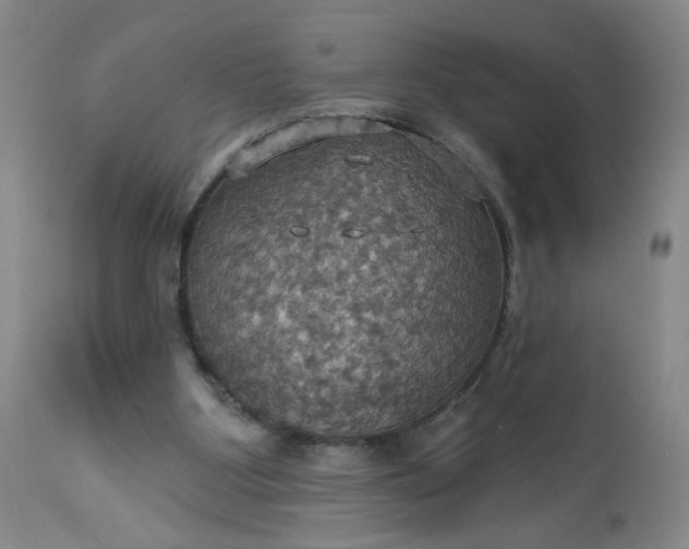 X0000113230107200909241532