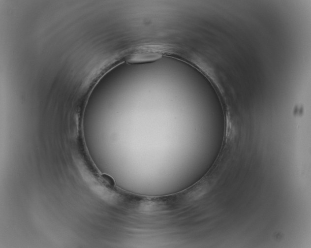 X0000113230109200909241532