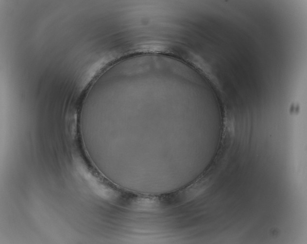 X0000113230110200909241532