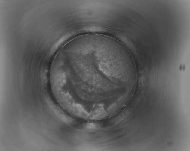 X0000113230111200909241532