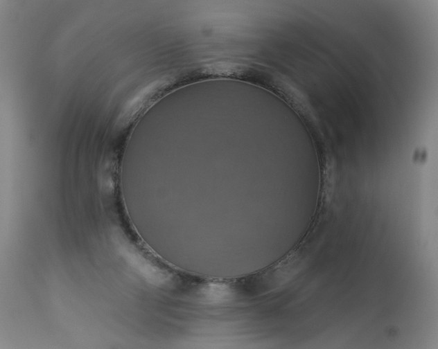 X0000113230114200909241532