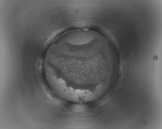 X0000113230115200909241532