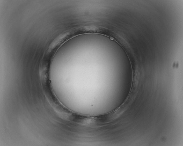 X0000113230116200909241532