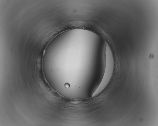 X0000113230117200909241532