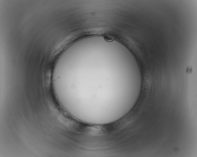 X0000113230118200909241532