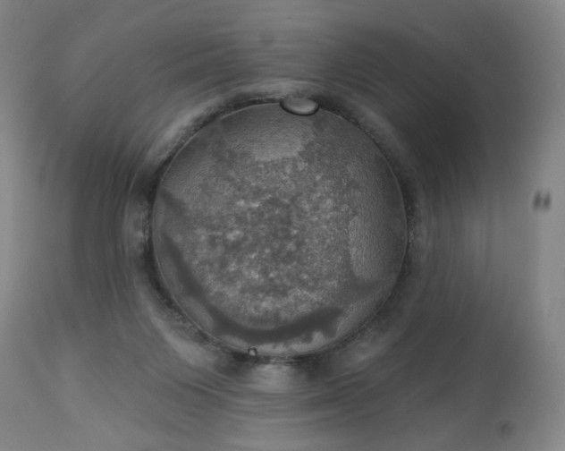 X0000113230119200909241532