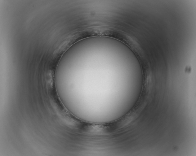 X0000113230121200909241531