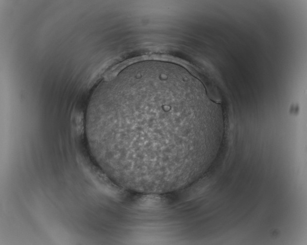 X0000113230123200909241531