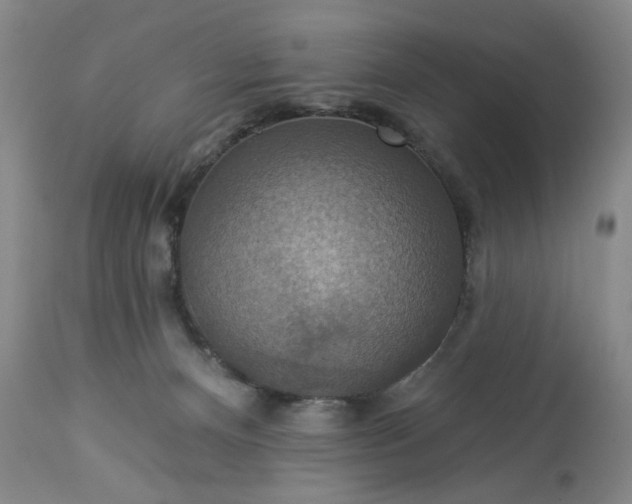 X0000113230128200909241531