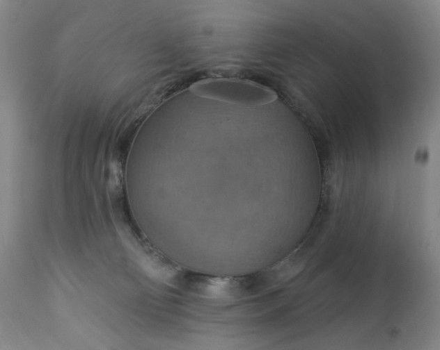 X0000113230130200909241531