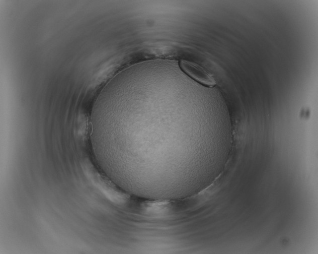 X0000113230132200909241531