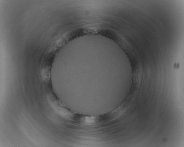 X0000113230134200909241531