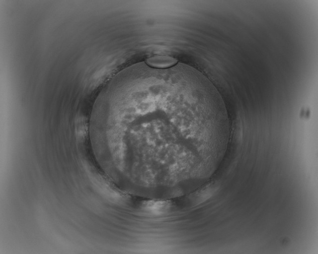 X0000113230135200909241531