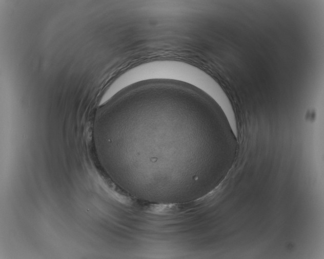 X0000113230136200909241531