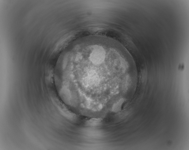 X0000113230138200909241531