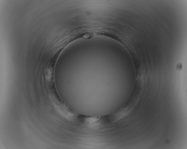 X0000113230139200909241531