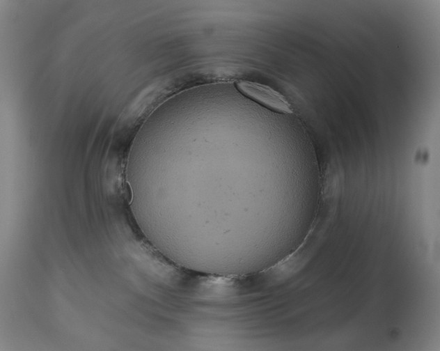 X0000113230140200909241531