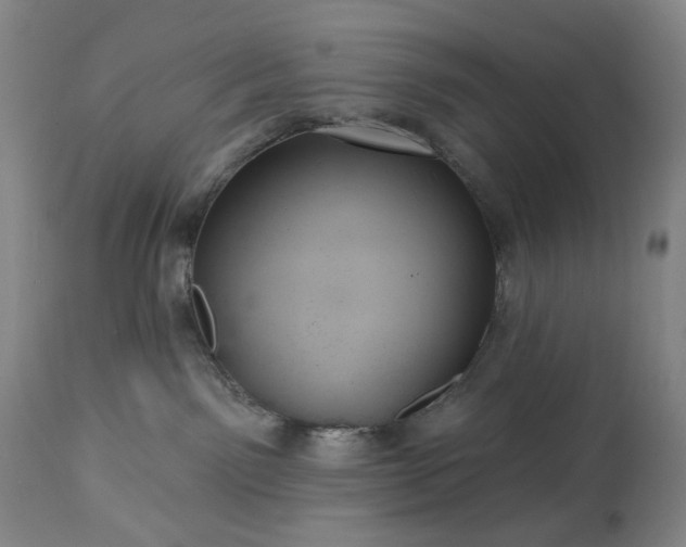 X0000113230141200909241531