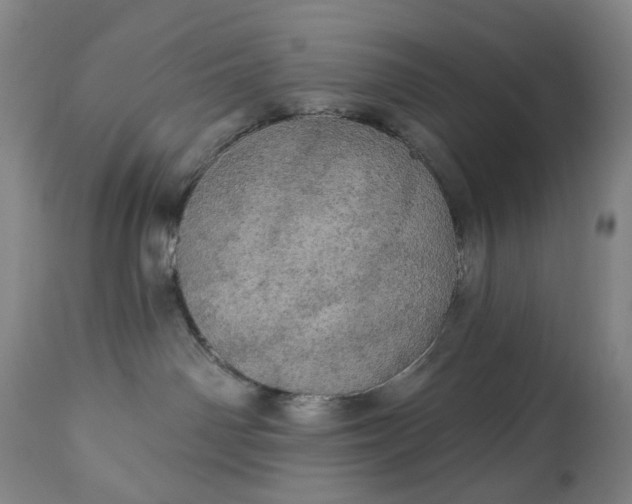 X0000113230142200909241531