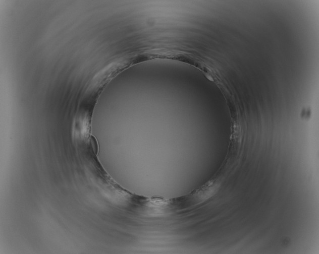 X0000113230143200909241531