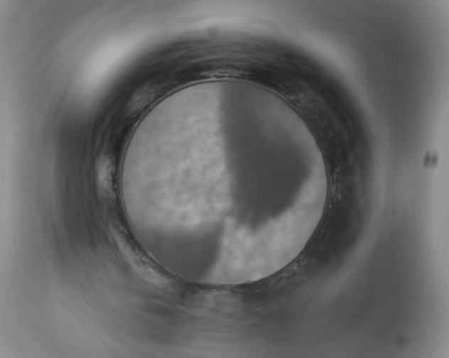 X0000113230146200909241530