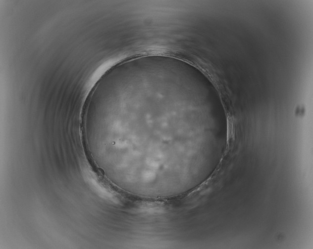 X0000113230147200909241530