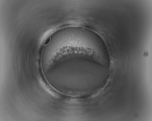 X0000113230149200909241531