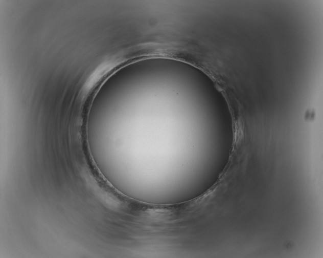 X0000113230150200909241531