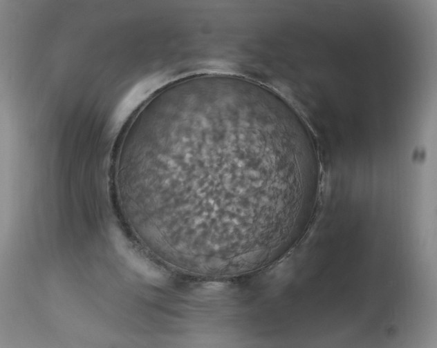 X0000113230151200909241531