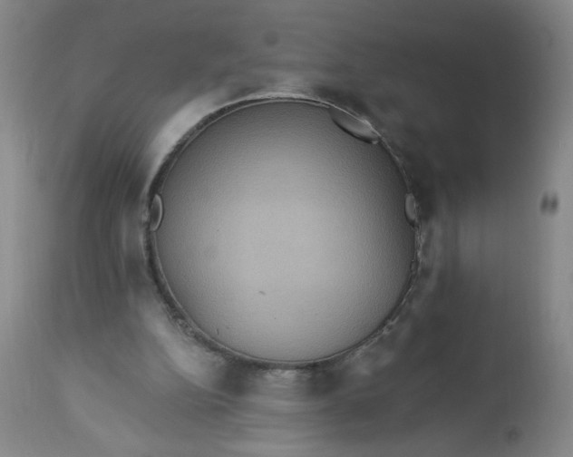 X0000113230152200909241531